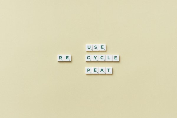 Avis Richwood guitare: choix de qualité?