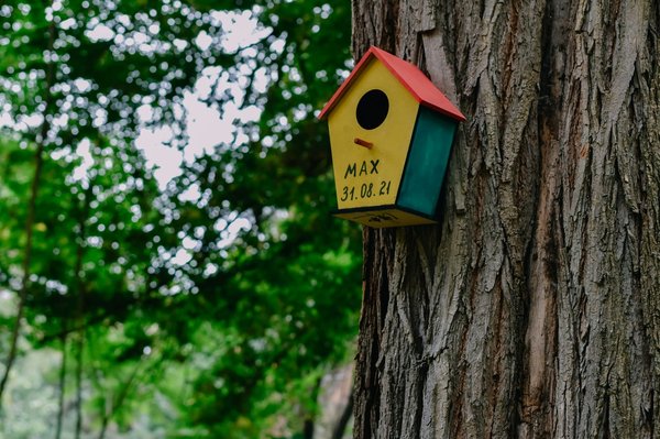 Comment fabriquer un nichoir à oiseaux?