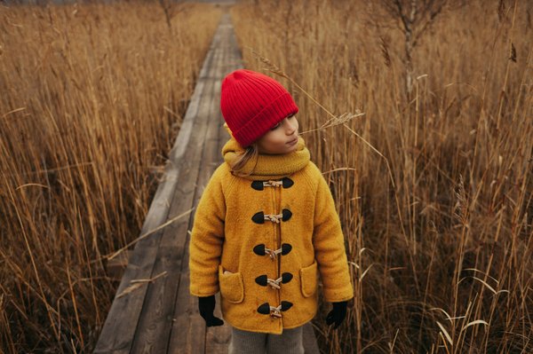 Comparatif banque en ligne : guide des offres éco-responsables