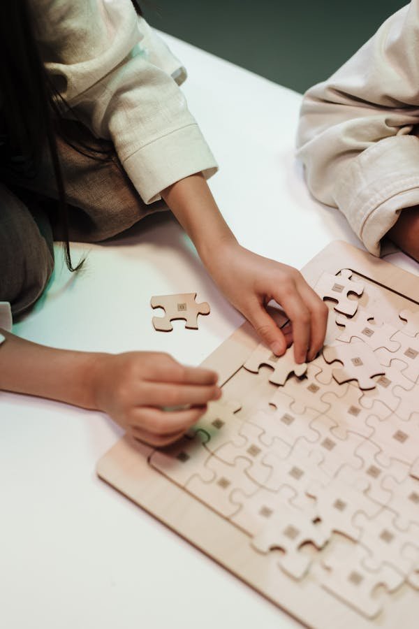 Découvrez 5 raisons d'adopter les puzzles en bois dès maintenant !
